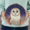 Painting With Wool Needle Felting Kit - Dani Ives' Barn Owl -BEKA Shop FSS KIT11 53471.1697292490