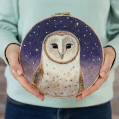 Painting With Wool Needle Felting Kit - Dani Ives' Barn Owl