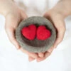Sculpting With Wool Needle Felting Kit - Love Nest -BEKA Shop FSS SWW 21b 61365.1697298039