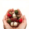 Felted Christmas Acorn Kit 2 Felted Christmas Acorn Kit -BEKA Shop GFF 009 30092.1575304937