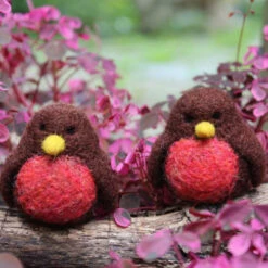 Going Gnome Felting Kit - Robins