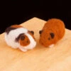 WoolPets Needle Felting Kit - Guinea Pigs -BEKA Shop Guinea Pigs Needle Felting Kit 2 08335.1557240960