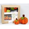 Kromski Needle Felting Kit - Pumpkin 2 Kromski Needle Felting Kit - Pumpkin -BEKA Shop KRO PUMPKKITb 58737.1567604633