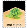 WoolPets Needle Felting Kit - Sea Turtle -BEKA Shop Sea Turtle Needle Felting Kit 3 92650.1557240954