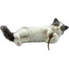 World Of Wool Artisan Felting Kit - Kitty The Kitten -BEKA Shop WOW AKNFKb 84045.1635769967