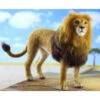 World Of Wool Felting Kit - Lewie The Lion -BEKA Shop WOW LNFK 16147.1556714807