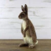 World Of Wool Felting Kit - Romeo The Rabbit -BEKA Shop WOW RONFKb 06265.1554145184