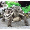 World Of Wool Felting Kit - Toto The Tortoise -BEKA Shop WOW TNFK 13433.1580845013