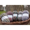 Signature 4-Ply Country Birds Sock Yarn -BEKA Shop WYS CB 15295.1620934031