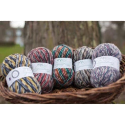 Signature 4-Ply Country Birds Sock Yarn