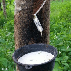 Saddle Seat Stool 10 Saddle Seat Stool -BEKA Shop rubber tree tapping square 11105.1543861201